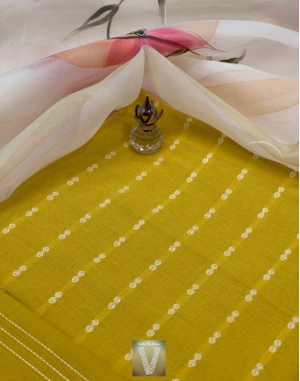 Salwar-organza-VSOG-238
