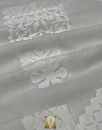 Applique work organza sarees-vapq-1757
