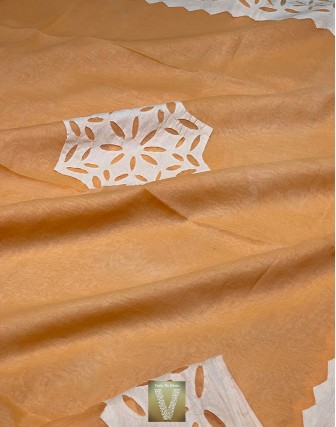 Applique work organza sarees-vapq-1759