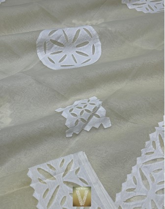 Applique work organza sarees-vapq-1768